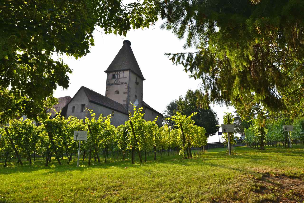 Ammerschwihr